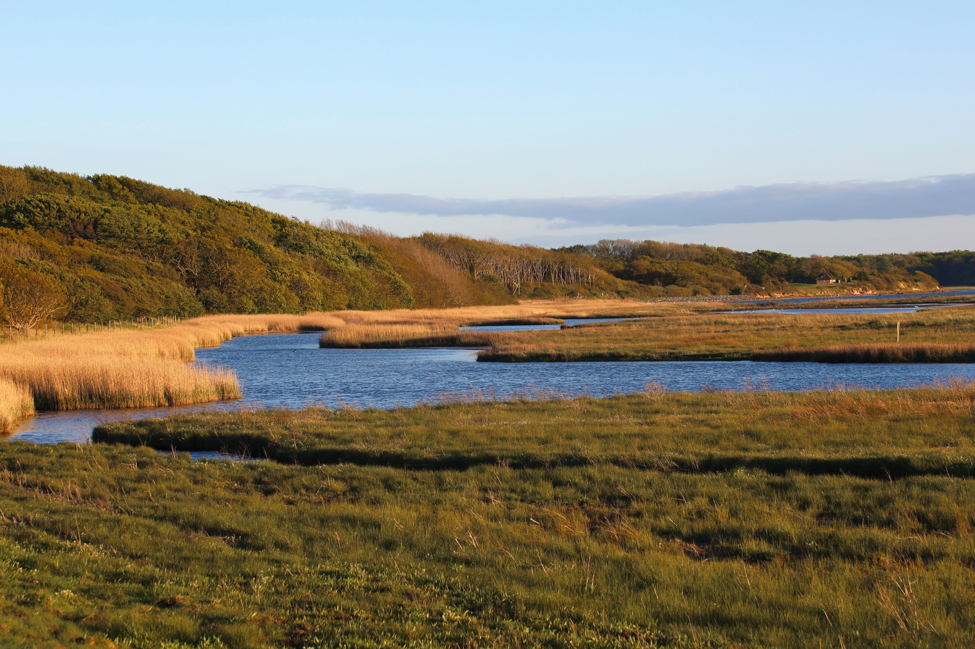 Eine natürliche Landschaft mit einem Fluss, grünen Wiesen und einem bewaldeten Hügel.