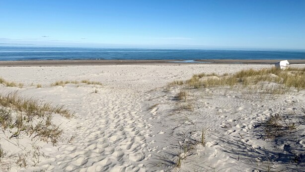 En sandstrand med klitter og et klart havblik.