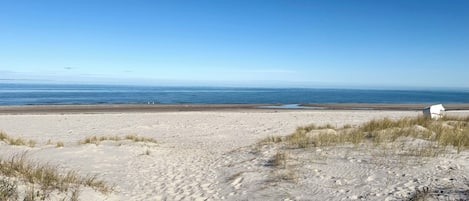 Playa en los alrededores y camastros