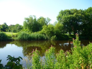 Una escena serena junto al lago, con abundante vegetación y aguas tranquilas.