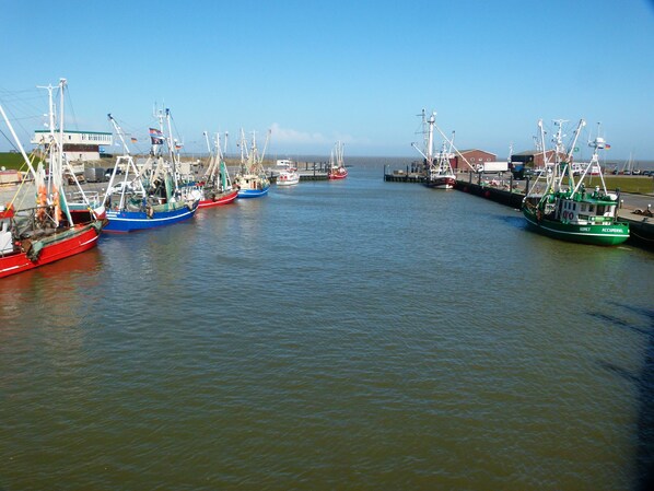 A harbor with several fishing boats docked.