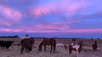 A stable with horses grazing under a twilight sky.