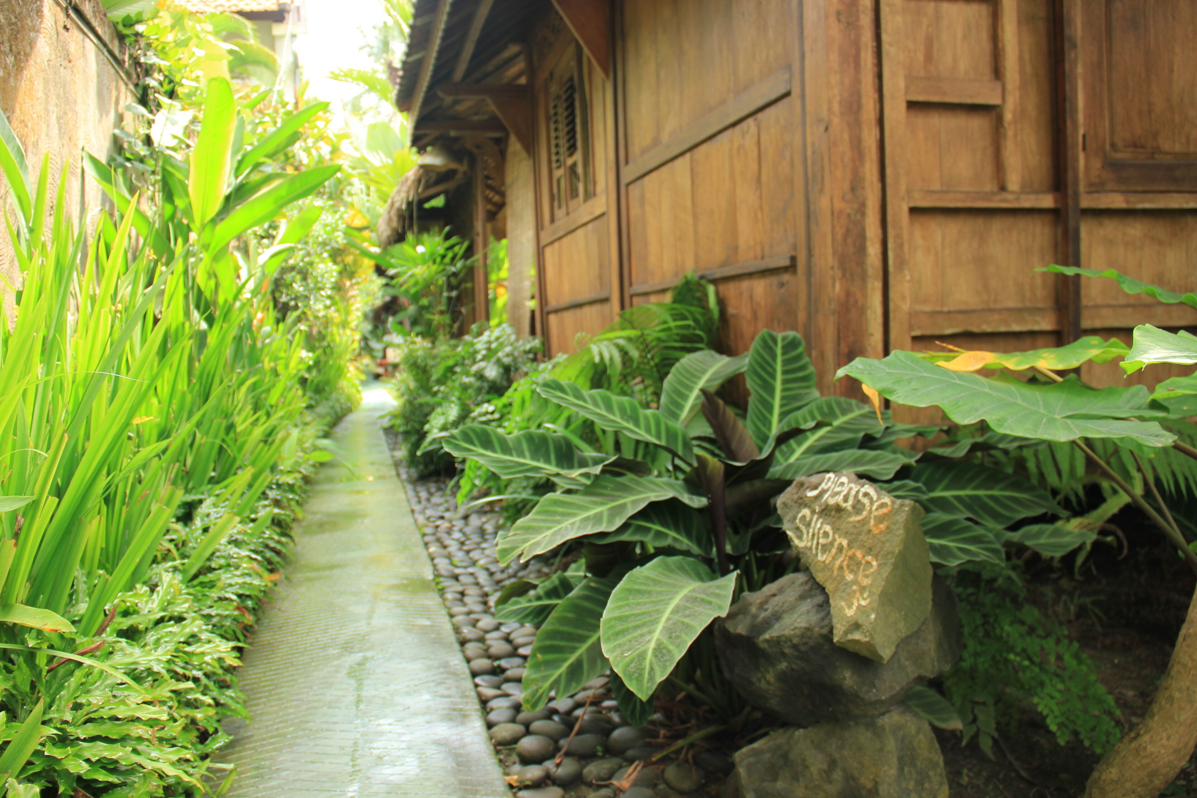 The Shala Bali - Image 6