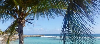 Racoon rêveur, exceptional sea-view apartment 15m from the lagoon and 150m from the beach