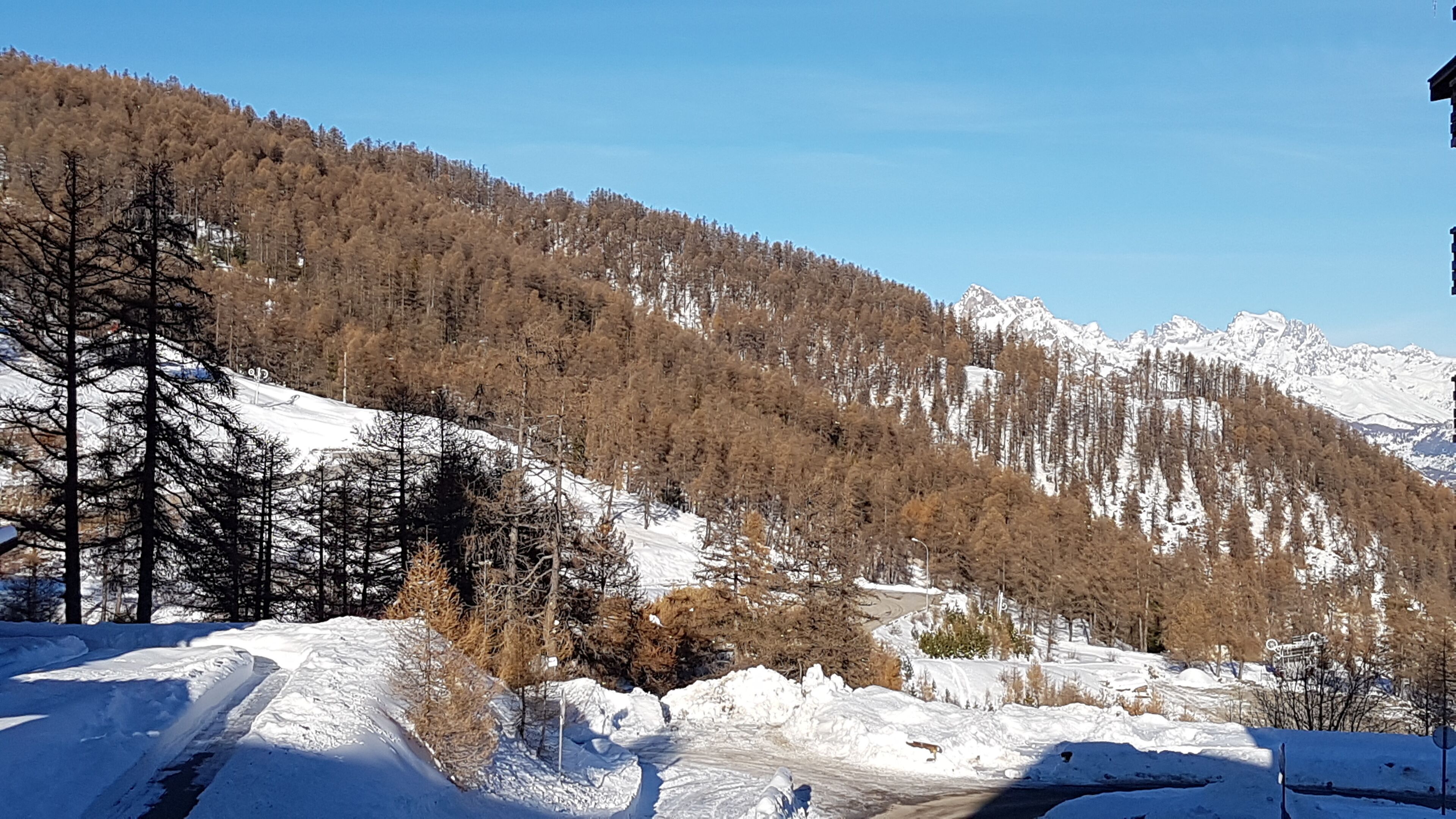 Sports d’hiver