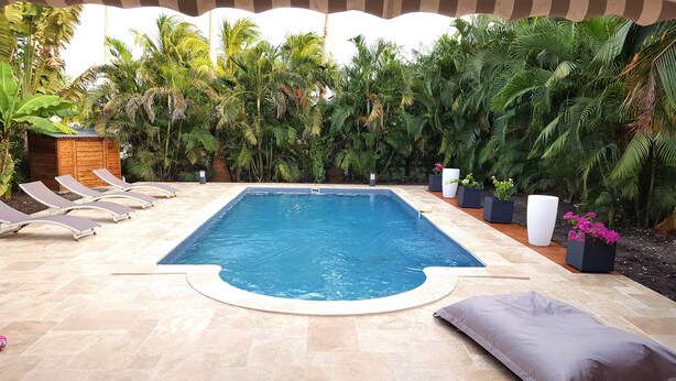 Una piscina rectangular con solárium empedrado, rodeada de exuberante vegetación tropical y palmeras.