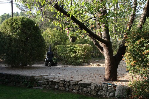 Wooden chalet in the middle of the pines