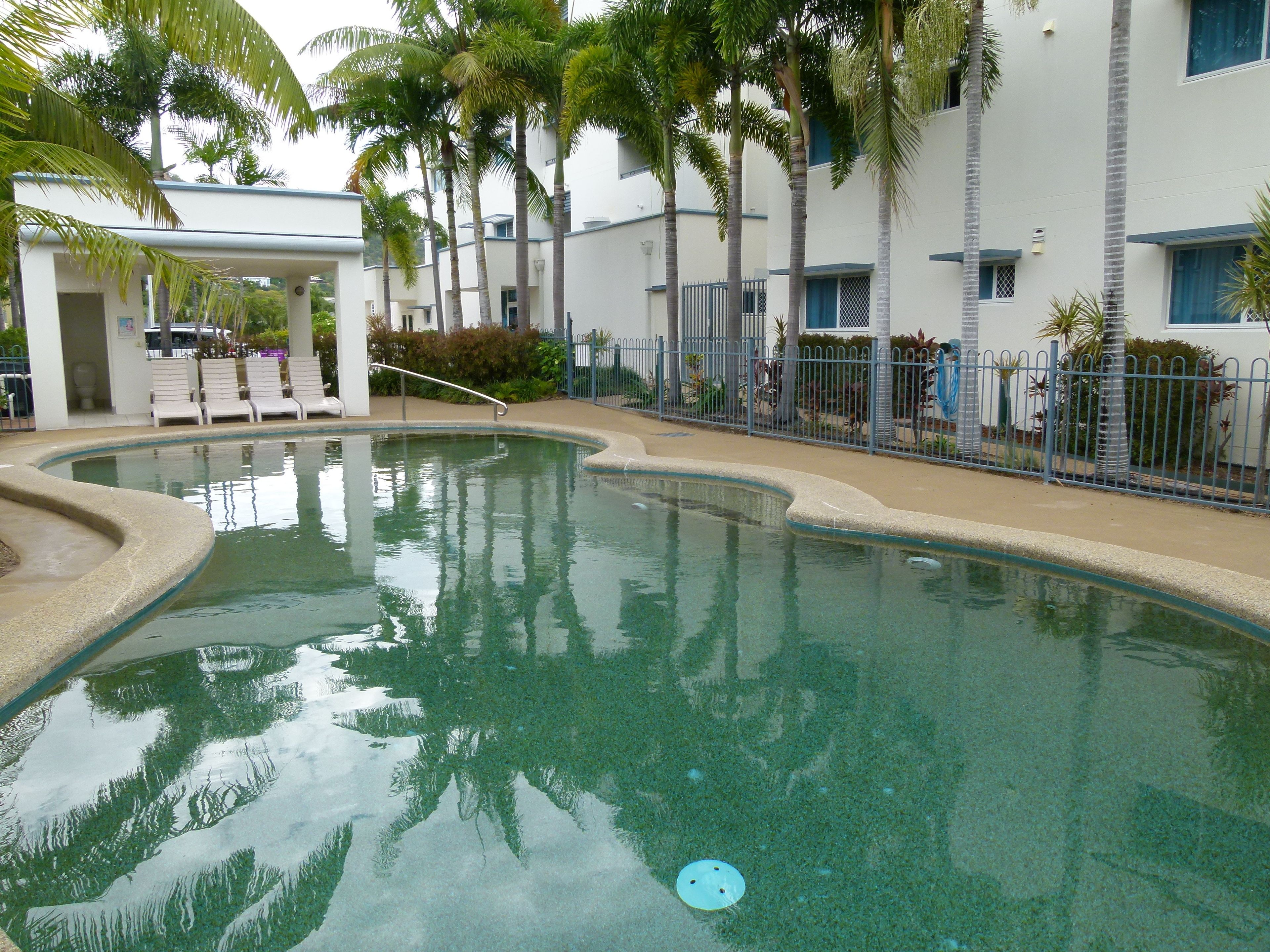 A swimming pool with a curved edge, surrounded by palm trees and a fence.