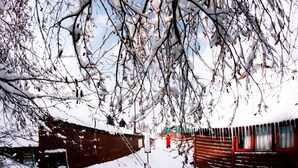 A snow-covered wooden cabin with a visible door and windows, surrounded by snow-laden trees.