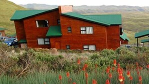 A cluster of wooden houses with green roofs in a rural setting.