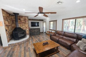 TV, fireplace, video games, DVD player