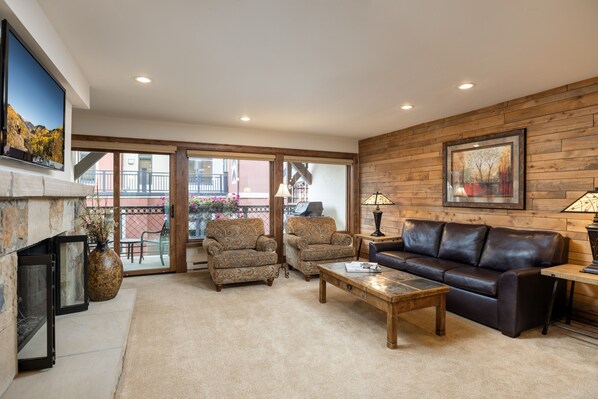 TV, fireplace, books