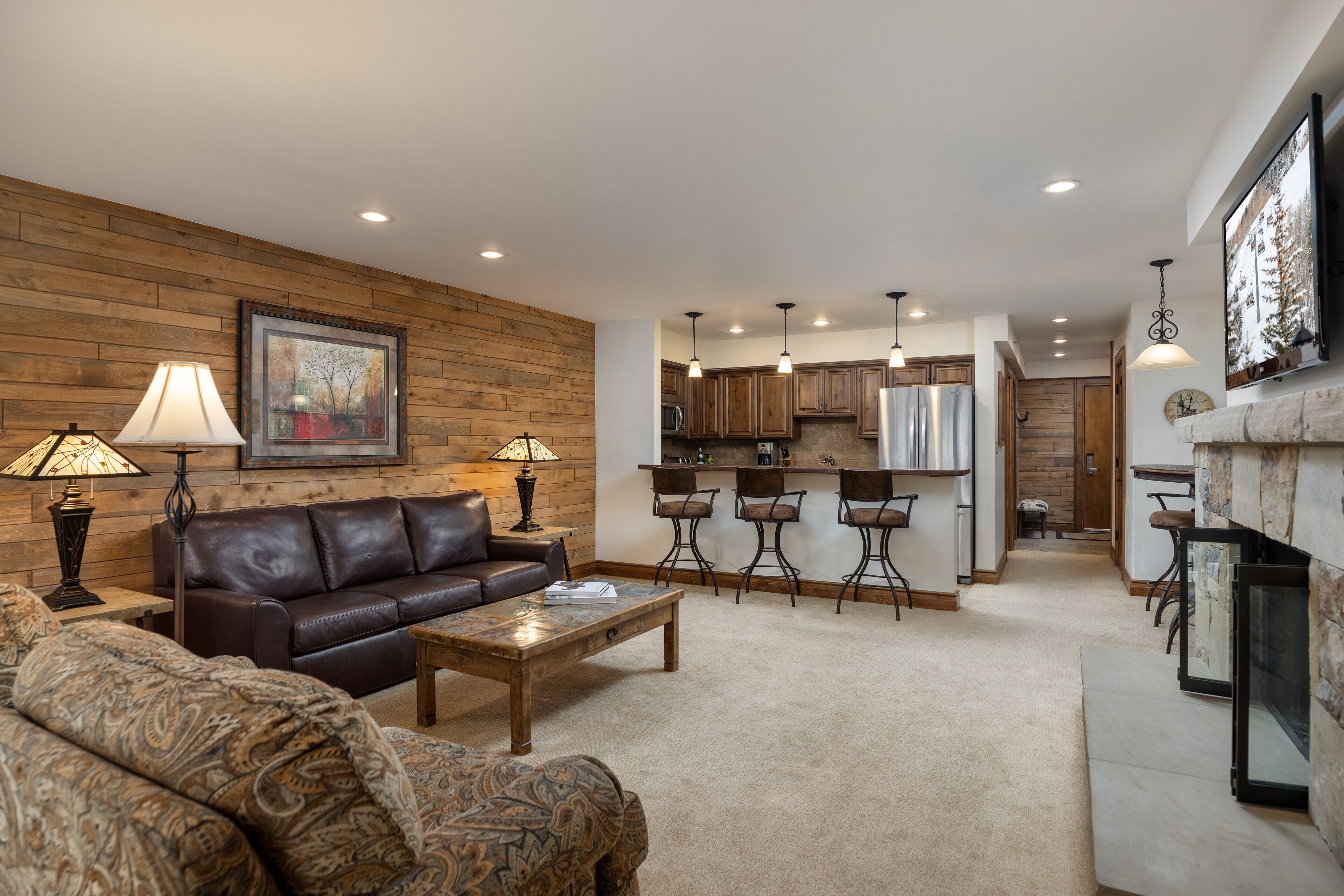 TV, fireplace, books