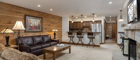 TV, fireplace, books