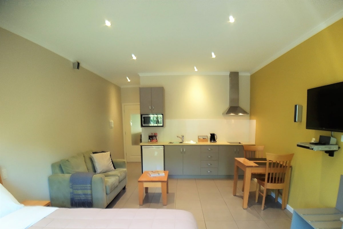 Luxury Studio, 1 Queen Bed, Accessible, Non Smoking
