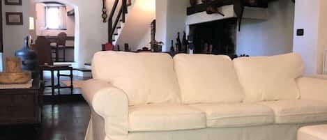 TV, fireplace, books