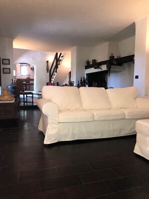 Televisión, chimenea, libros