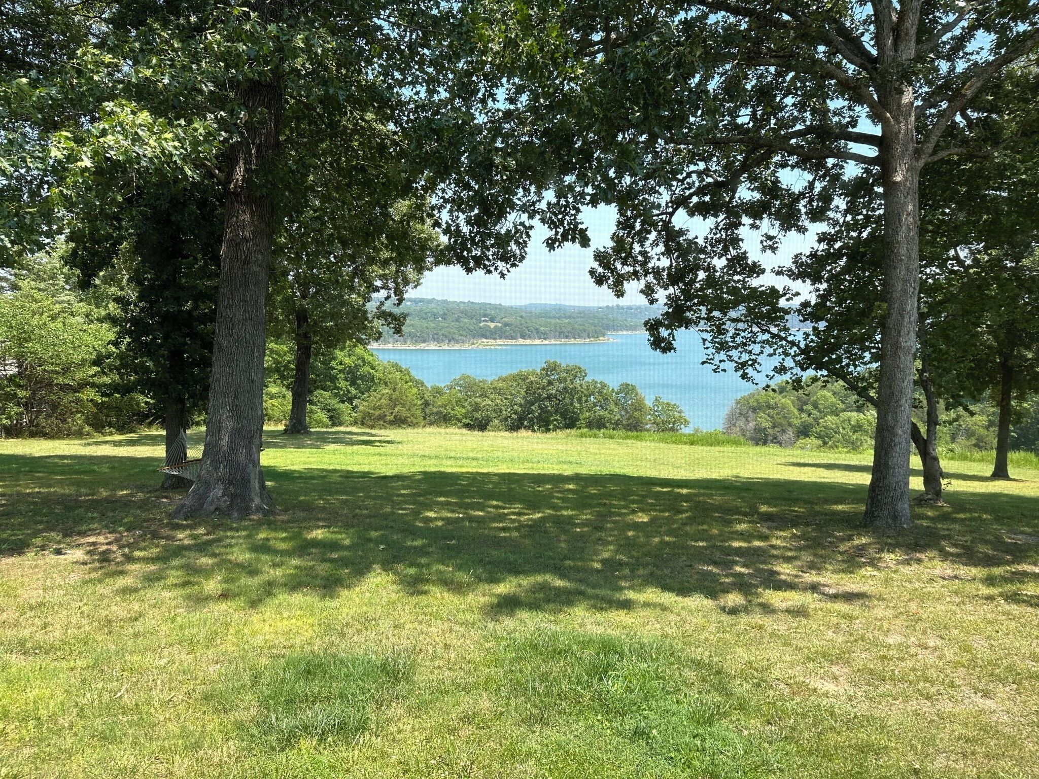 A grassy area with trees and a view of a body of water.