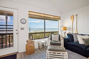 TV, DVD player, books, video library