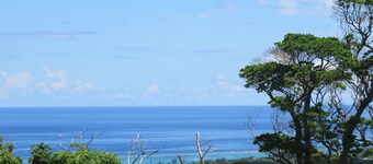 Okinawa Freedom