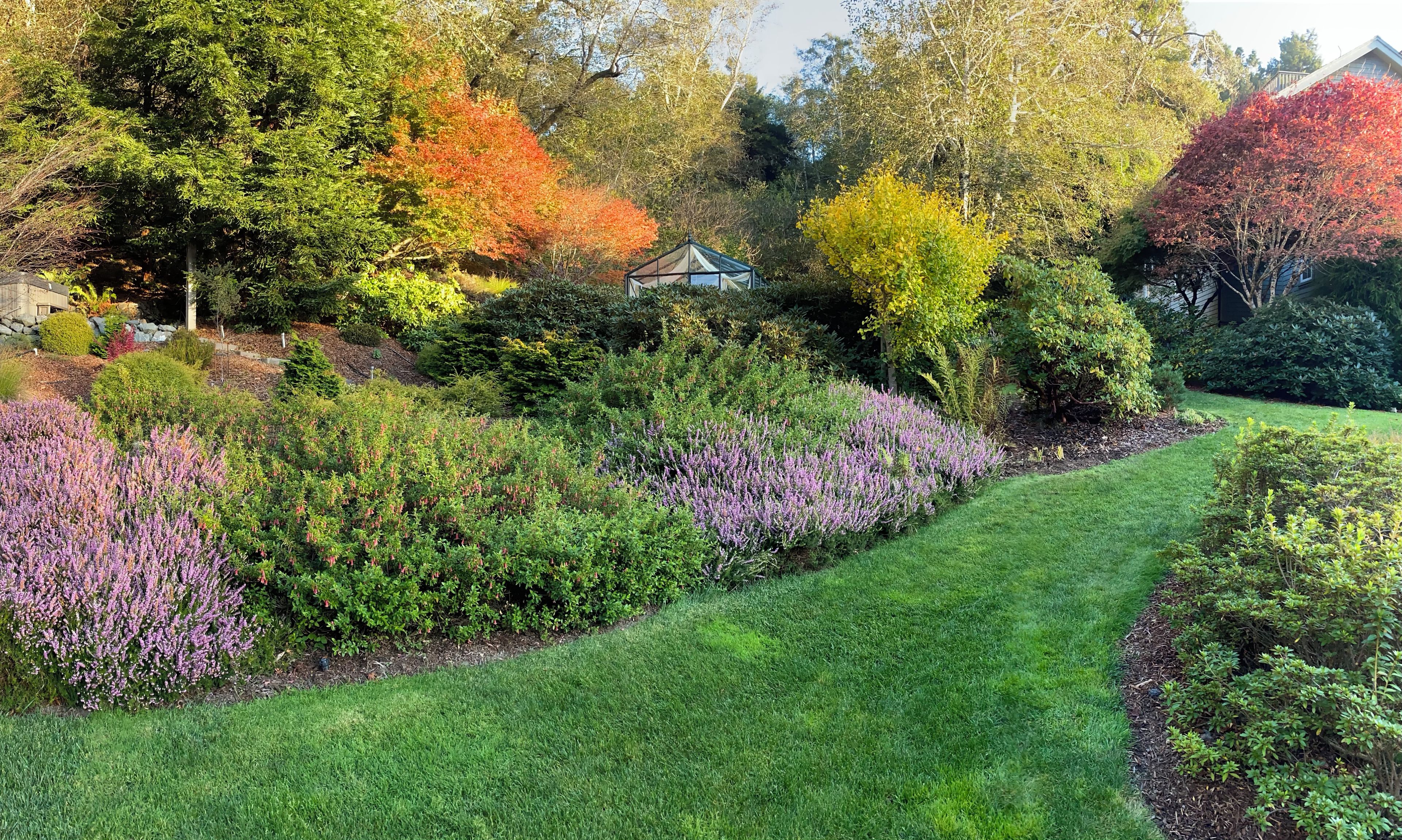A well-maintained garden with a variety of plants and a clear pathway.