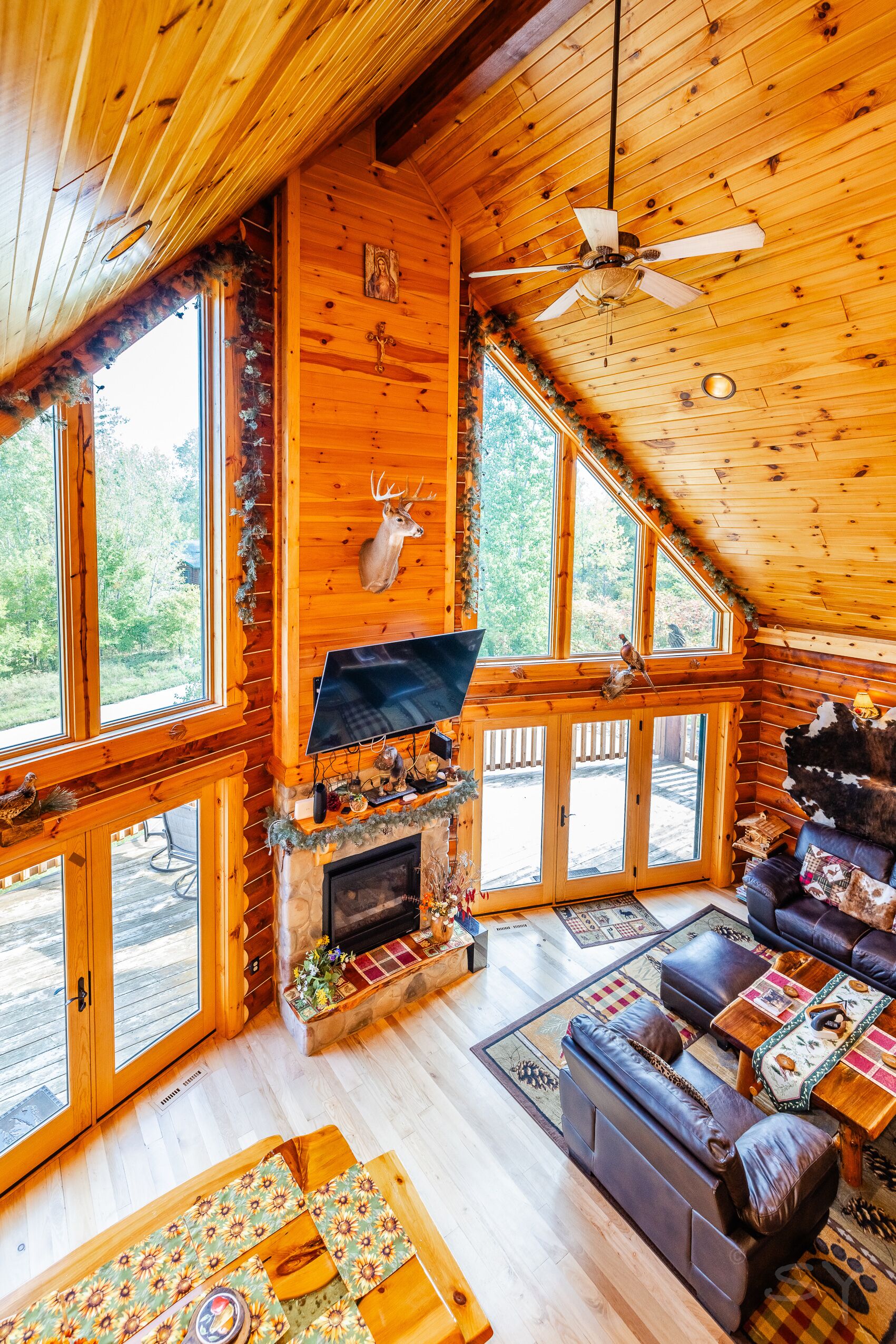 智能電視、壁爐、DVD 播放機、足球機