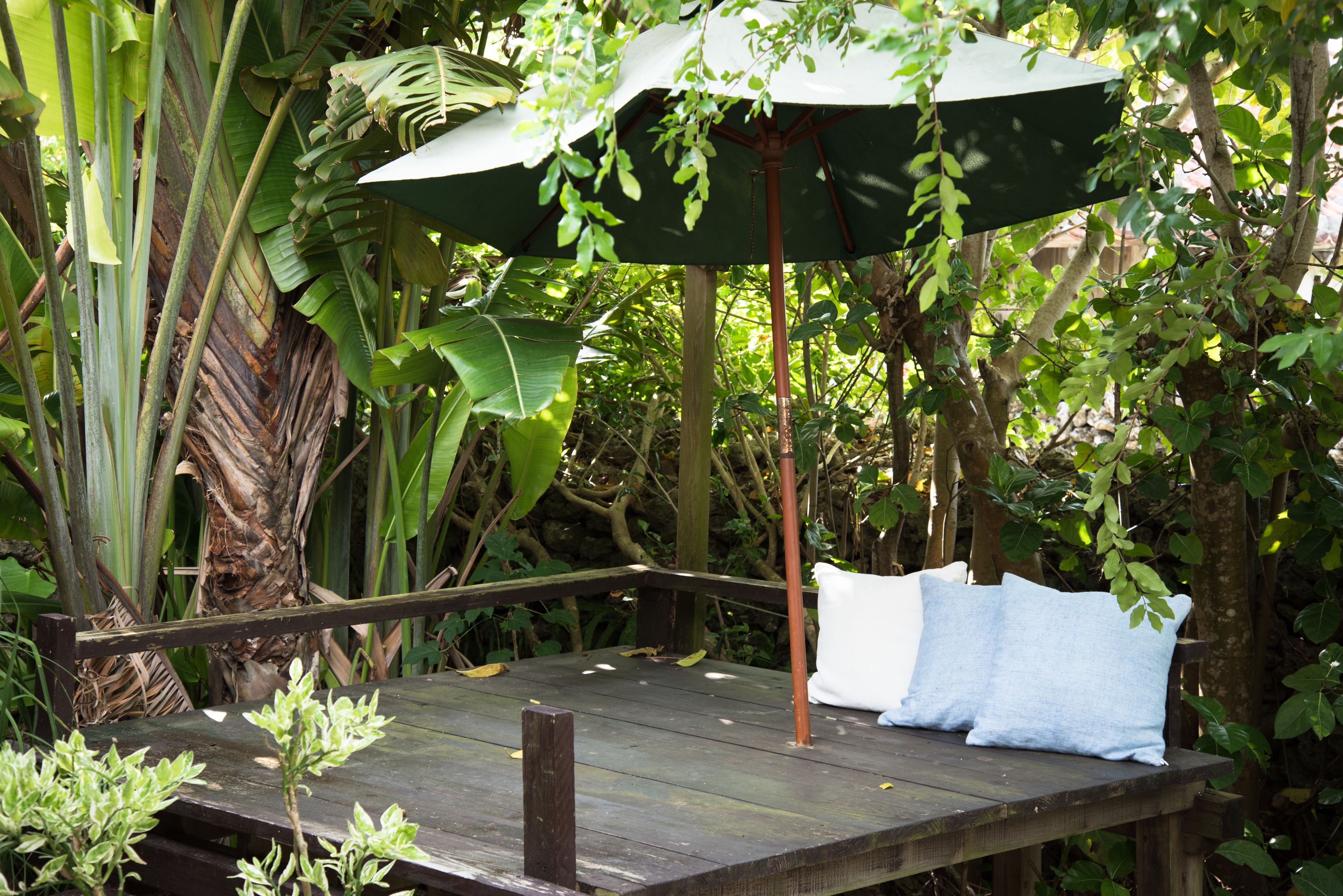 テラス / パティオ