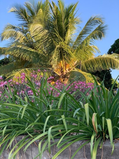 Namiyasi Lake Cottage