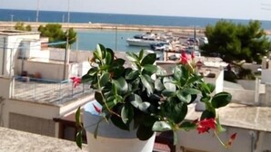 A balcony with a potted plant, overlooking a marina with boats and a clear sky. - B&B Midiè (Fasano)
