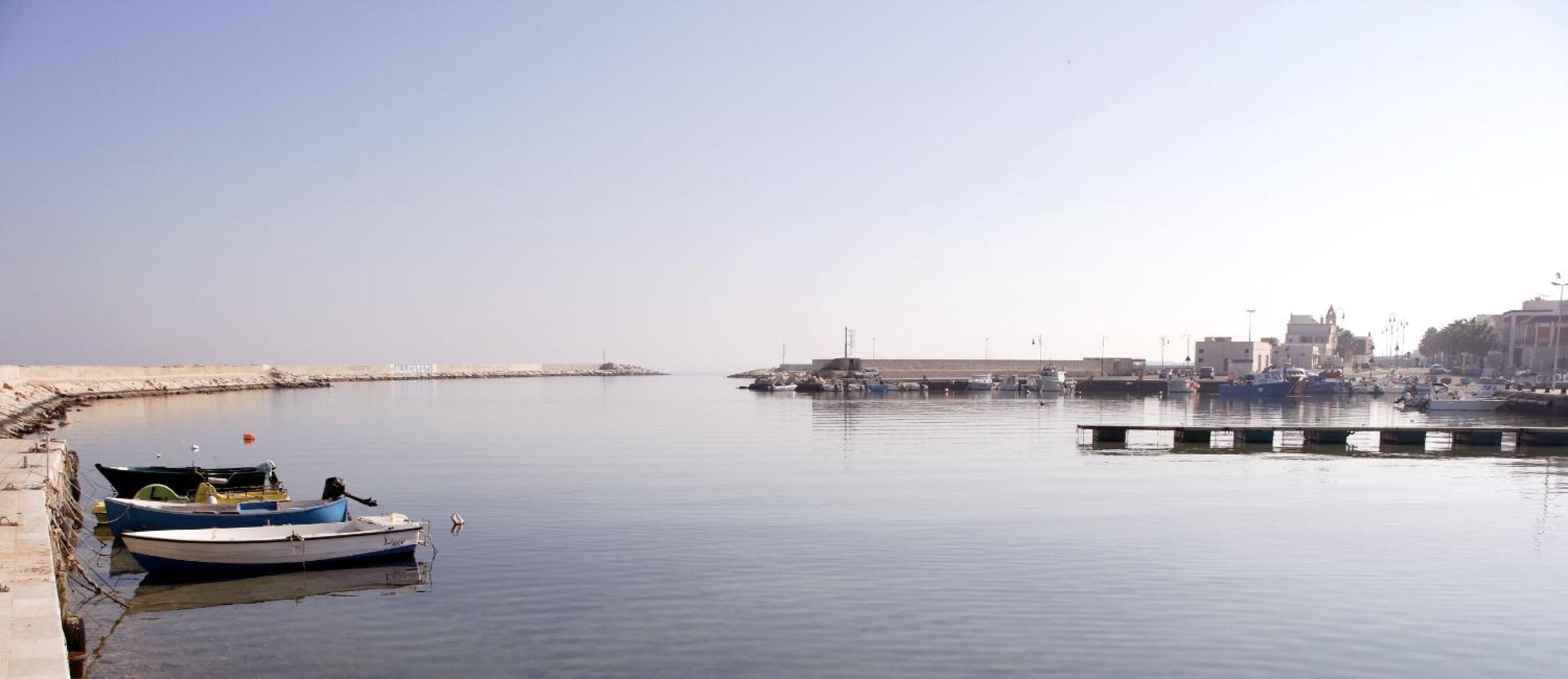 A calm harbor with boats docked, a pier extending into the water, and a distant cityscape.