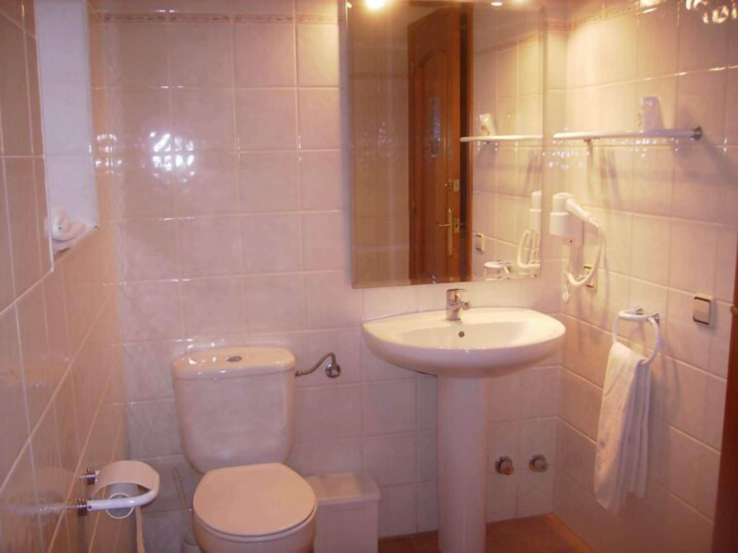 Een badkamer met toilet, wastafel en spiegel.