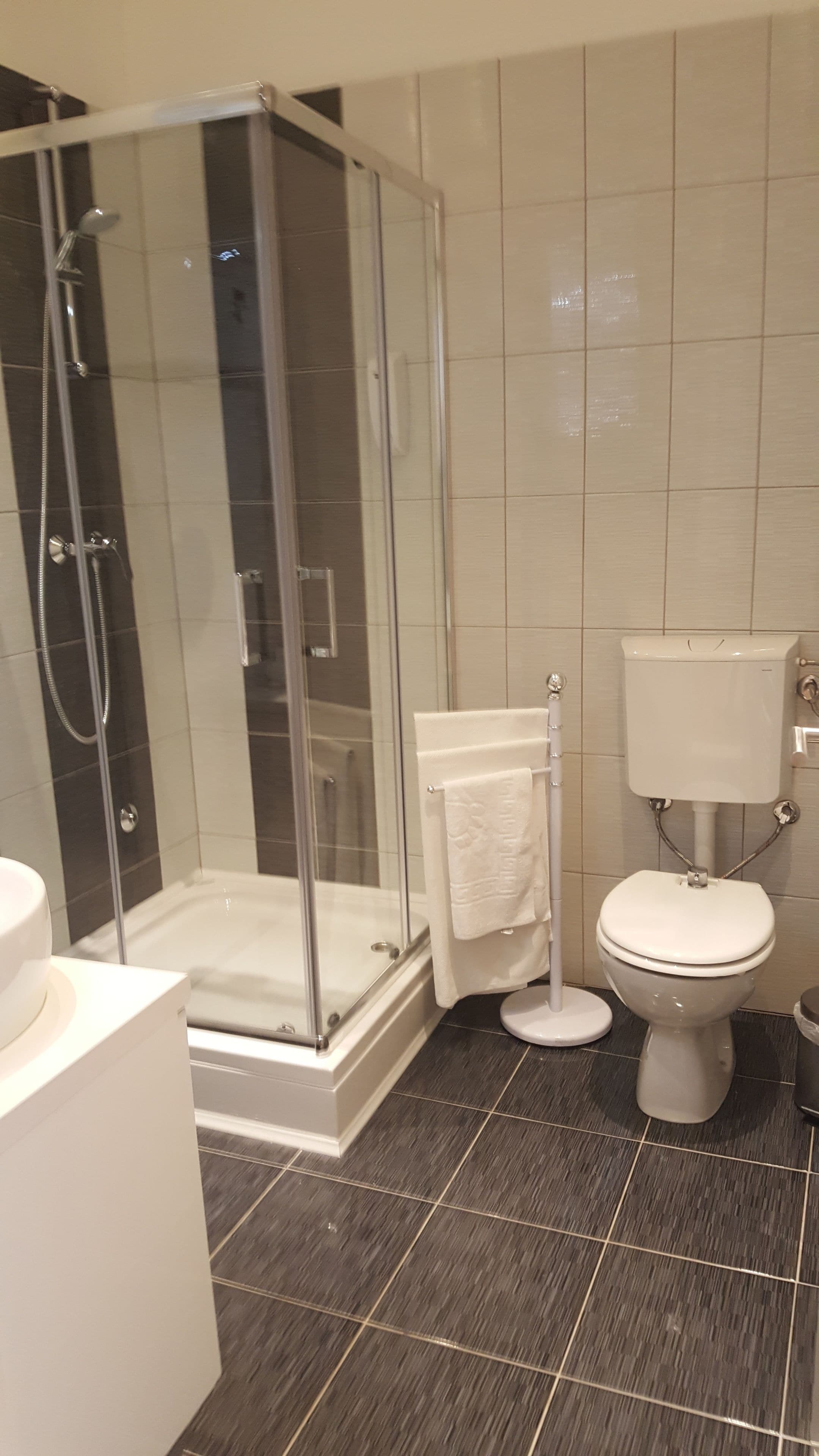 A modern bathroom with a glass-enclosed shower, a toilet, and a sink.