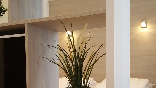 Une chambre à coucher moderne avec un lit, une table de chevet blanche ornée d’une plante en pot et un téléviseur posé sur une étagère en bois.