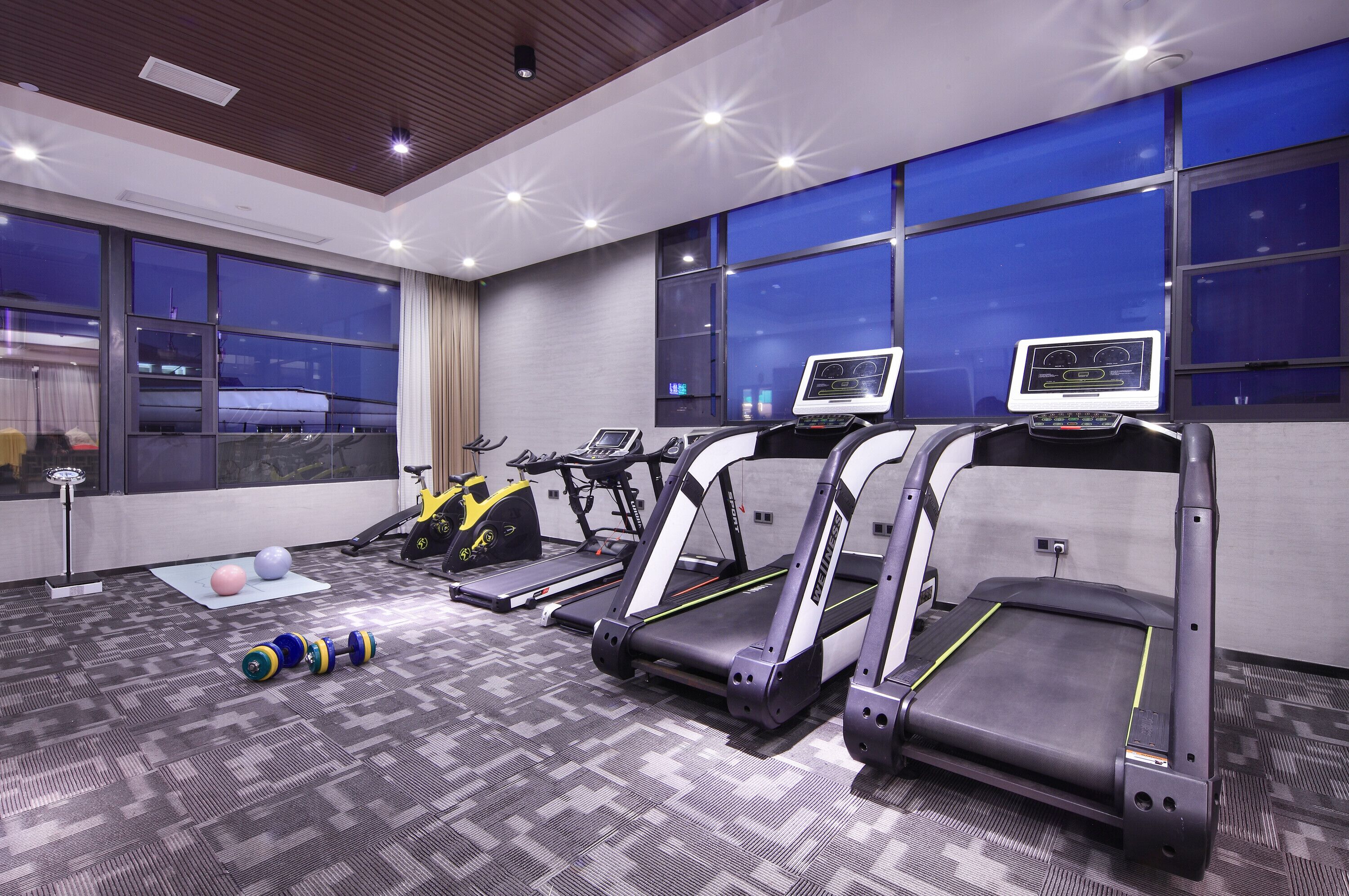 Un gimnasio con cintas de correr, balones de ejercicio y una bicicleta estática.