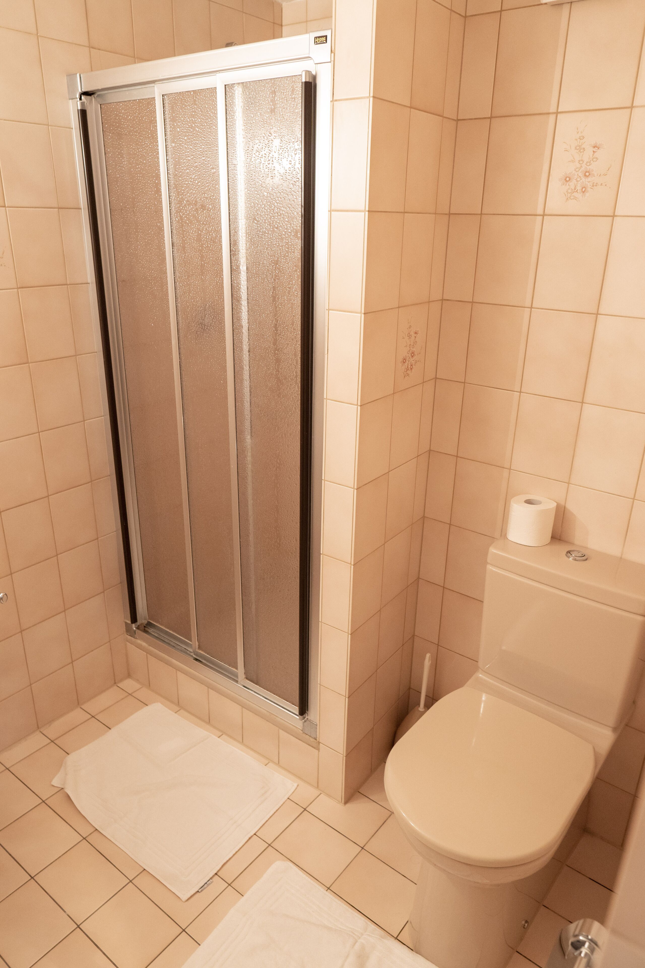 A bathroom with a shower enclosure, a toilet, and two towels on the floor.