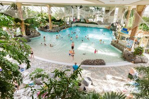 Une piscine intérieure dotée de plusieurs couloirs, entourée de formations rocheuses naturelles et de verdure.