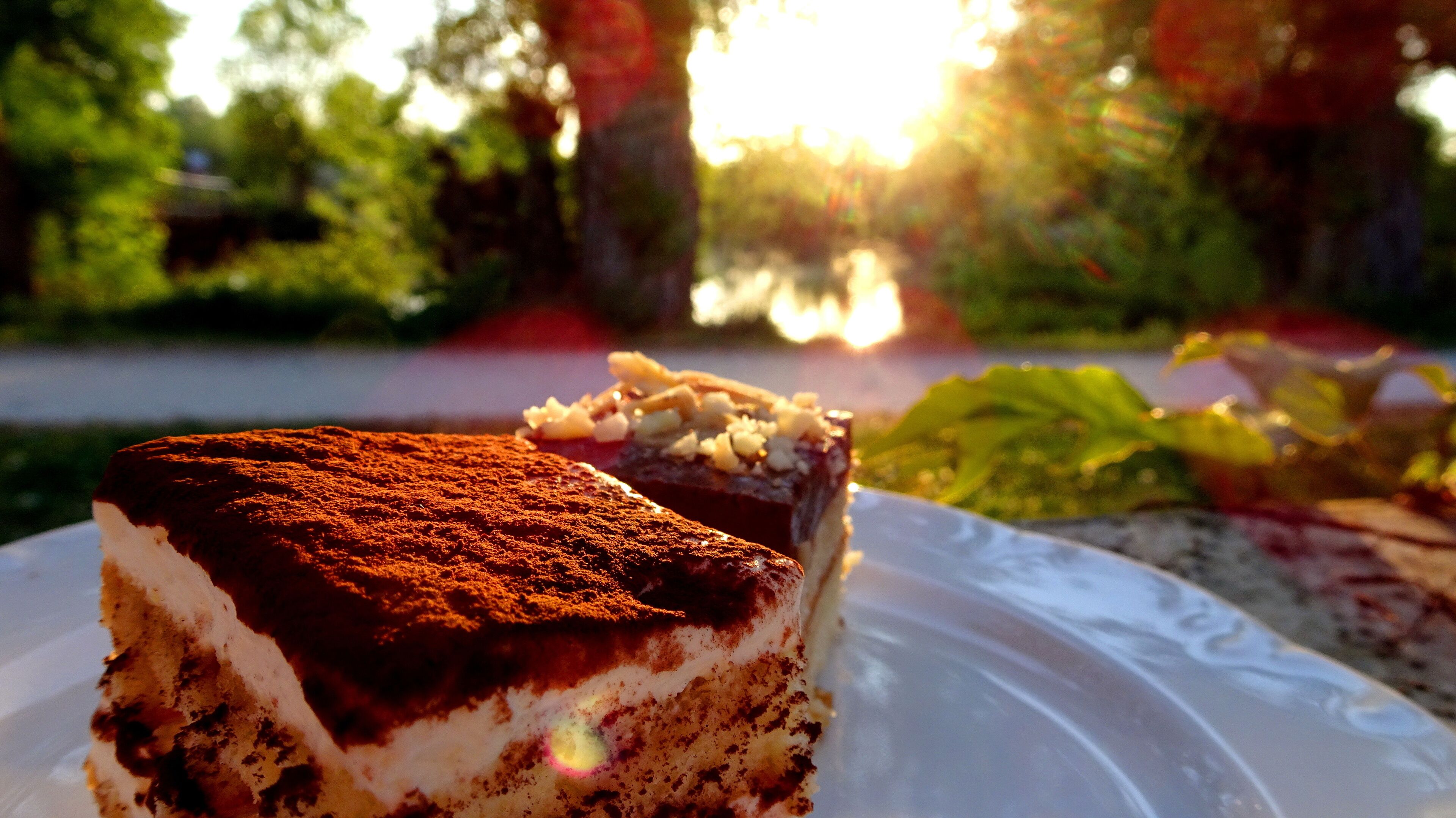 Uma fatia de tiramisu num prato, com vista para um jardim ao fundo.