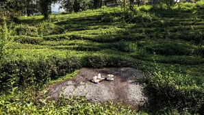 A landscaped garden with a tea set on a rock. - Lamrin Norwood Green Palampur (Palampur)
