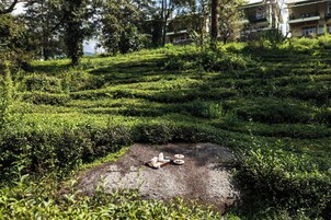 Jardín