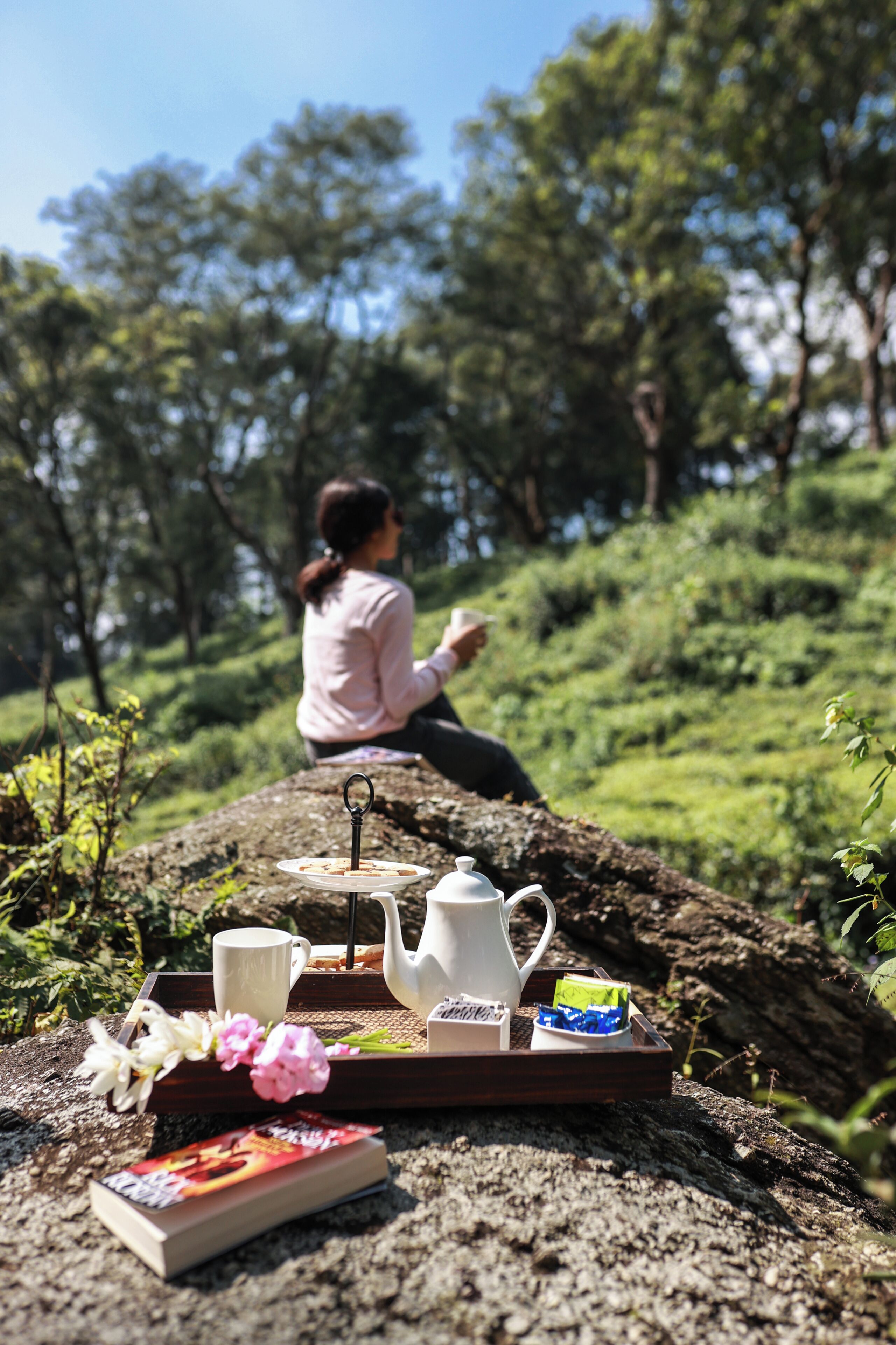 Una mujer sentada sobre una roca con una bandeja de té y un libro.