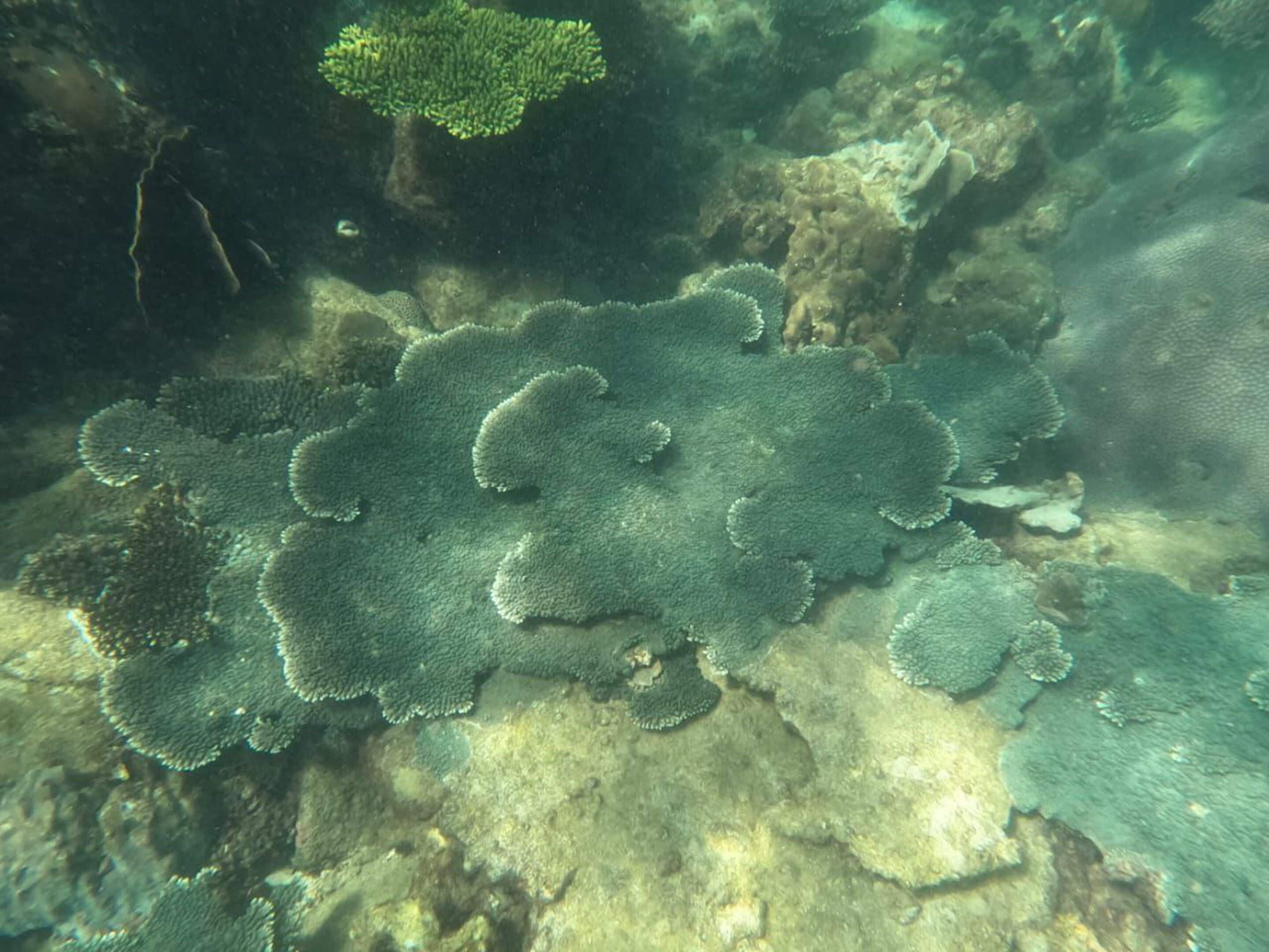 children’s activities