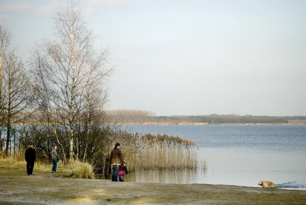 Een landschap aan een meer, met mensen en een hond bij de waterlijn.