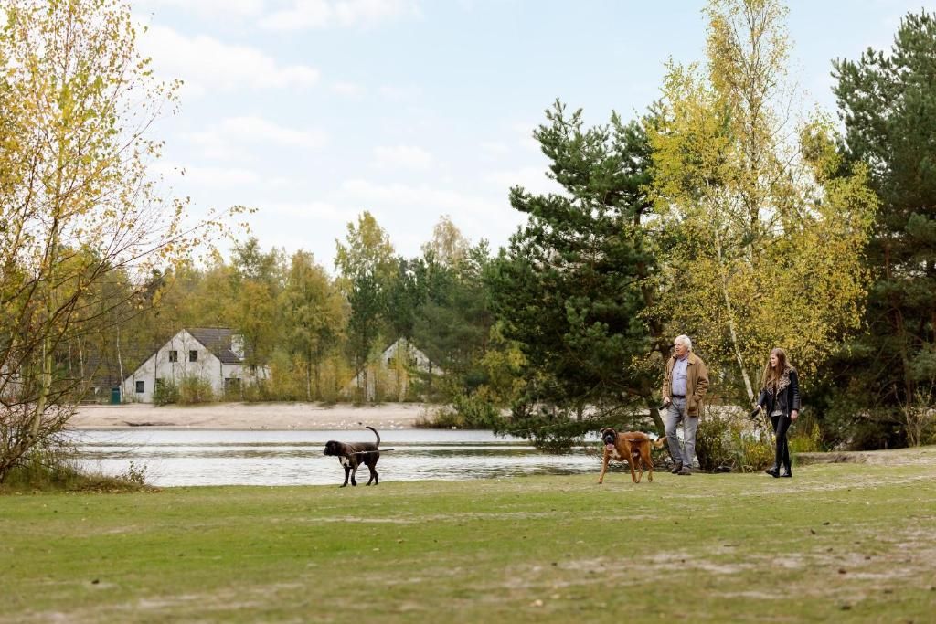A grassy area with a body of water, trees, and a building in the background.