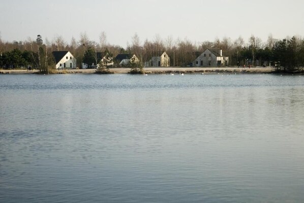Un lago tranquilo con casas a lo largo de la orilla.