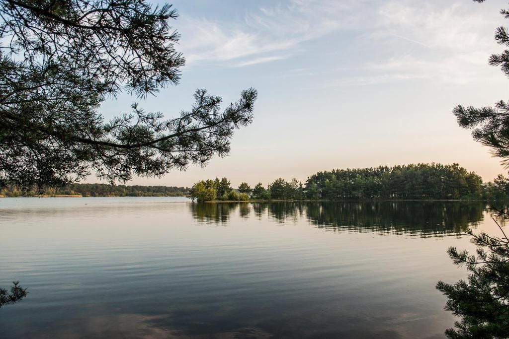 A calm lake surrounded by trees.