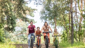 A family on a dirt path surrounded by trees.