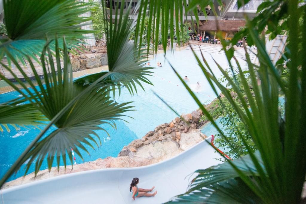 Zona de piscina con tobogán acuático, rodeada de palmeras y un saliente rocoso.