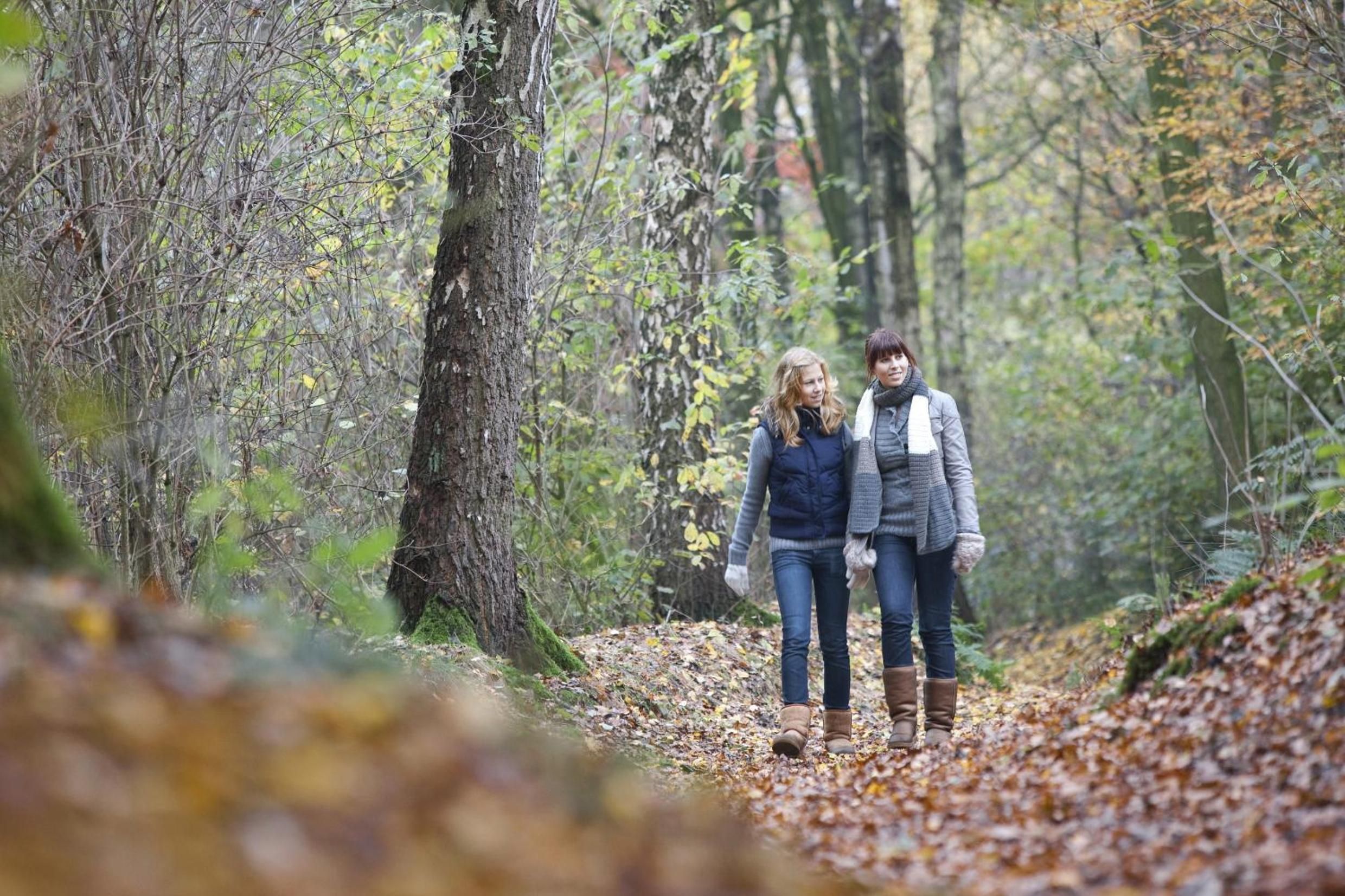 Two people walking on a leaf-covered path in a forest.