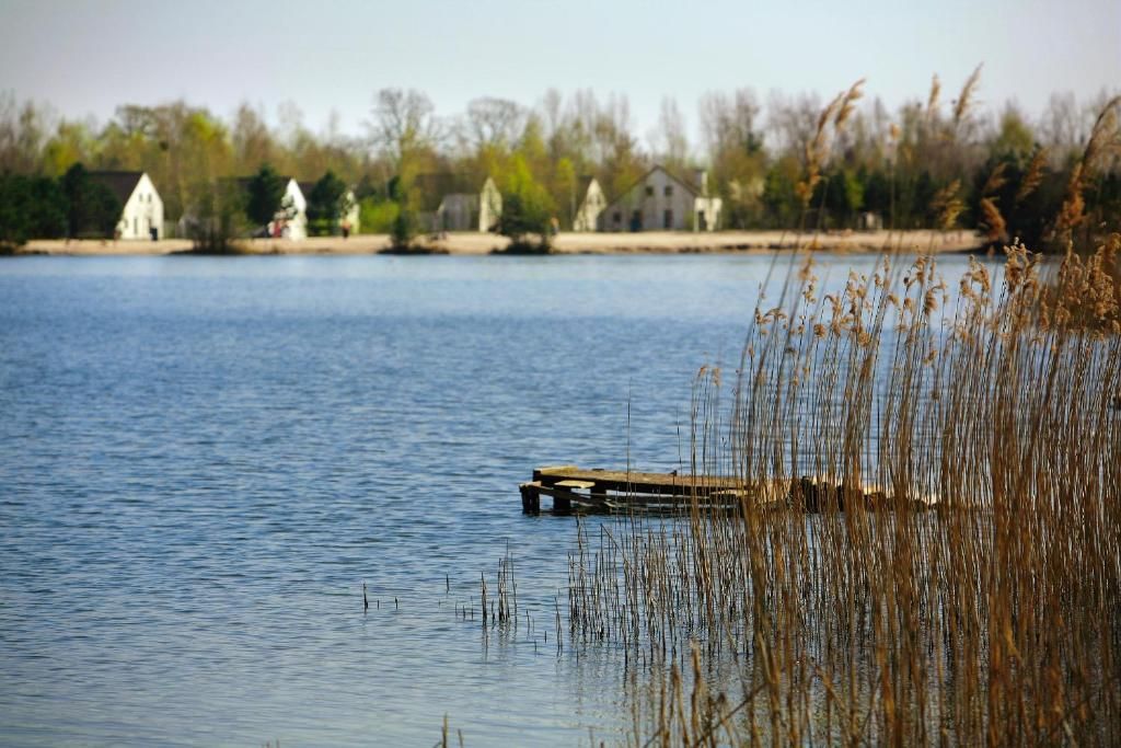 Un lac paisible, avec une jetée en bois qui s’avance sur l’eau, entouré de hautes roseaux et, au loin, d’une rangée de maisons blanches.