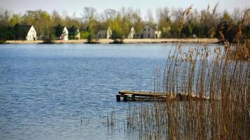 Un lac paisible, avec une jetée en bois qui s’avance sur l’eau, entouré de hautes roseaux et, au loin, d’une rangée de maisons blanches.